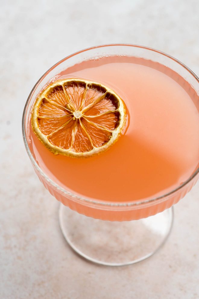Grapefruit Cocktail Photo with Dried Orange Garnish
