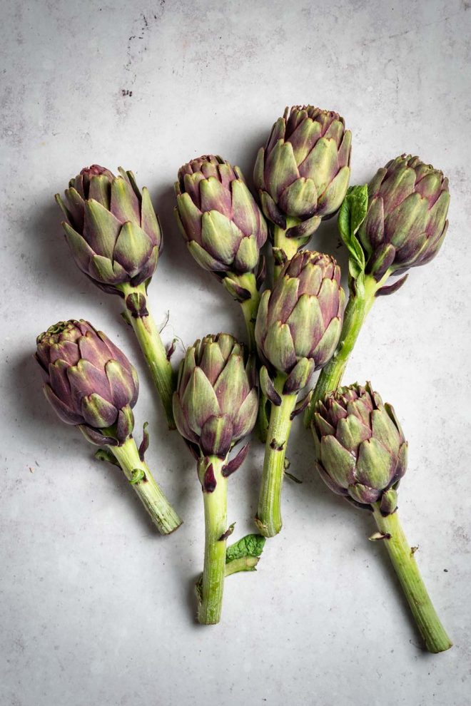 Photo of artichokes, photograph by Lauren Caris Short of Food Photography Academy