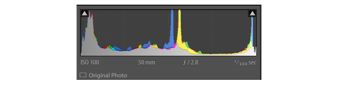 A histogram in Lightroom while editing a food photograph 