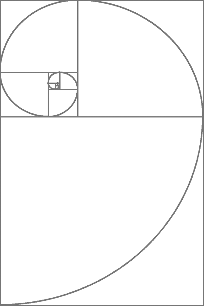 image of the golden spiral photo composition technique